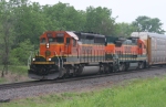 BNSF 8029